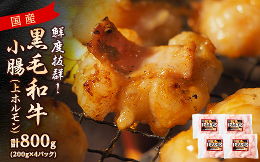 国産黒毛和牛小腸(上ホルモン)800g(200g×4パック)(枕崎市) Z0‐57【配送不可地域：離島】