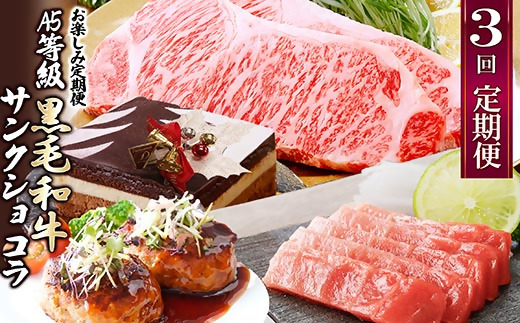 【数量限定】3回定期便　A5等級黒毛和牛・サンクショコラ　EE0-0008【配送不可地域：離島】