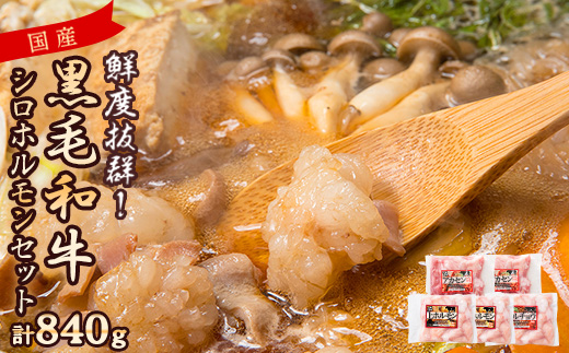 国産黒毛和牛シロホルモンセット　840g A3-383【配送不可地域：離島】