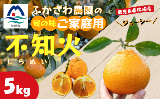 不知火 計5kg 鹿児島県枕崎市産　ご家庭用 A6-175