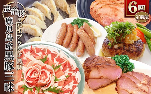 【発送月固定定期便】鹿児島県産黒豚三昧Bセット GG5-0001全6回【配送不可地域：離島】