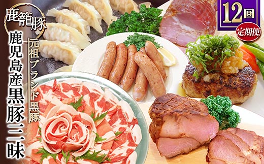 【発送月固定定期便】鹿児島県産黒豚三昧 HH-2全12回【配送不可地域：離島】