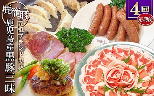 【発送月固定定期便】鹿児島県産黒豚三昧 EE0-0005 全4回【配送不可地域：離島】