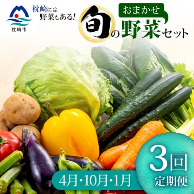 【発送月固定定期便】枕崎の野菜!!定番・旬の野菜お任せセット(4・10・1月)DD0-0007全3回【配送不可地域：離島】