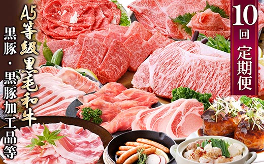 定期便(1年で10回配送)お楽しみ便(A5等級黒毛和牛・黒豚)HH-6004【配送不可地域：離島】