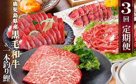 定期便(3回配送)枕崎お楽しみ便(黒毛和牛・一本釣りかつおたたき・さしみ) LL-6006【配送不可地域：離島】