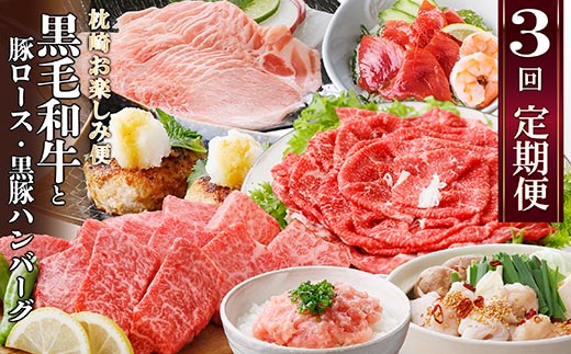 定期便【3回配送】枕崎お楽しみ便(A5黒毛和牛・豚ロース・黒豚ハンバーグ・かつお丼)LL-6037【配送不可地域：離島】