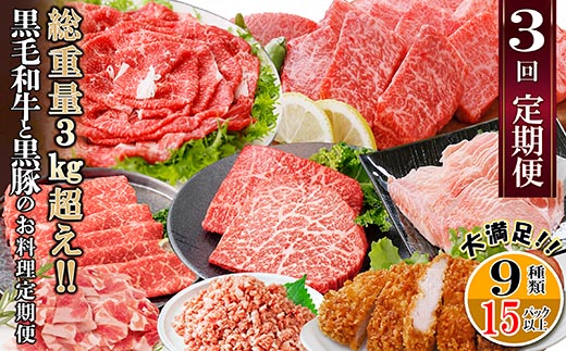 総重量3Kg越え、鹿児島県産黒毛和牛と黒豚のお料理定期便(3回配送)　EE0-0002【配送不可地域：離島】