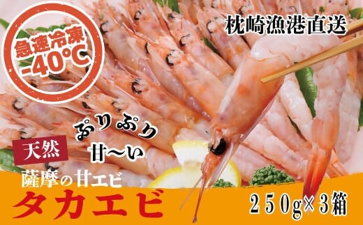 天然タカエビ250g×3箱　A1-1【配送不可地域：離島】