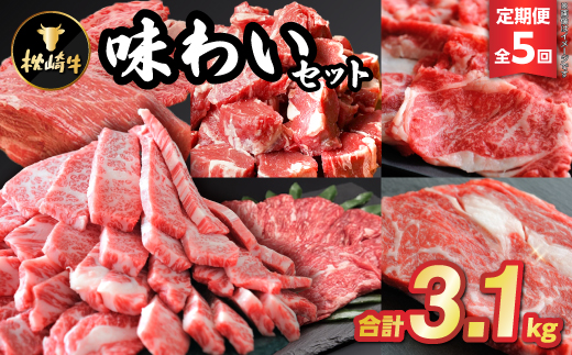 【毎月定期便】枕崎牛味わいセット(赤身ブロック・ステーキ・もも・カルビ等)JJ10-0001 全5回【配送不可地域：離島】