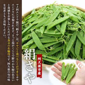 ＜2026年1月以降順次発送予定＞ご家庭用！訳あり！「絹さや」(1kg) 旬 国産 豆 マメ 絹さや 絹サヤ きぬさや 野菜 セット 詰め合わせ 訳アリ 数量限定 期間限定【黒坂青果】akn049-04