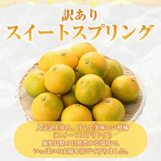 ＜2025年12月中旬以降順次発送予定＞訳ありスイートスプリング(約10kg) 鹿児島県 阿久根市 フルーツ 果物 デザート 柑橘 甘味 果肉 果汁【松永青果】akn053-11