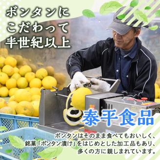 南国銘菓！甘夏みかん漬(120g入×8袋)甘夏 みかん ミカン お菓子 おやつ 和菓子 セット 小分け 個包装【泰平食品】akn007-08