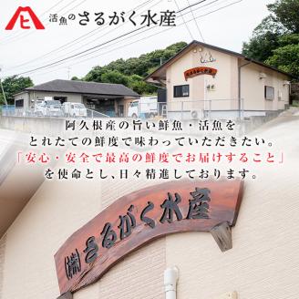 鹿児島県産！お刺身切るだけセット(3人～4人前)国産 刺し身盛 魚貝 魚介 海産物 刺身 蛸 たこ 海老 エビ かんぱち タイ 簡単調理 おつまみ セット 小分け 個包装【さるがく水産】akn028-05