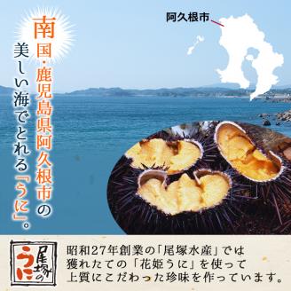 ＜鹿児島県産うに使用＞濃厚なウニの瓶詰め(4種)国産 九州産 鹿児島産 ウニ うに 雲丹 海胆 水産加工品 ムラサキウニ あわび アワビ 鮑 おつまみ【尾塚水産】akn004-21