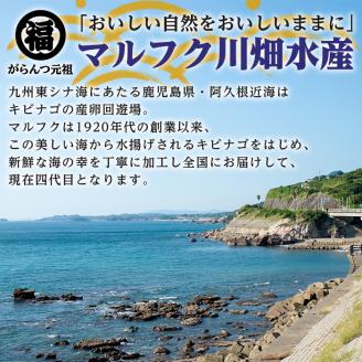 鹿児島県阿久根市産干物セット(8種) 阿久根市 国産 九州産 鹿児島県産 新鮮 鮮度 魚介類 乾物 ひもの おつまみ おかず お弁当 珍味 一夜干し きびなご あじ いか あおさ【マルフク川畑水産】akn029-12