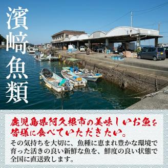 数量限定！鹿児島県阿久根産 薩摩甘エビ(約1kg・40～70尾) 国産 阿久根市産 えび 海老 急速冷凍 冷凍配送 魚貝類 魚介類 海産物 【濱崎魚類】akn023-05