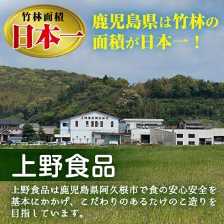 【平日着】＜2026年2月下旬以降順次発送予定＞朝堀り青果たけのこ(約3kg) 国産 新鮮 タケノコ 青果 竹の子 筍 野菜 春 旬 期間限定【上野食品】akn008-19-A