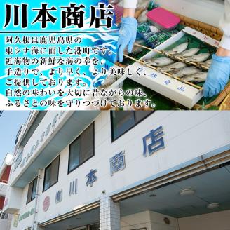 鹿児島県阿久根市産干物！大羽いわし丸干し(20尾)国産 鹿児島県産 魚介 魚貝 海産物 水産加工物 惣菜 簡単調理 セット 小分け【川本商店】akn030-09
