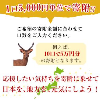 ＜返礼品なし＞鹿児島県阿久根市への寄附 akune-kifu001