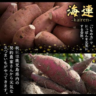 ＜定期便・全6回(隔月)＞鹿児島本格芋焼酎「伊七郎」黒瀬安光作(計72本・720ml×12本×6回)国産 芋焼酎 いも焼酎 お酒 セット 限定焼酎 アルコール【海連】akn016-18