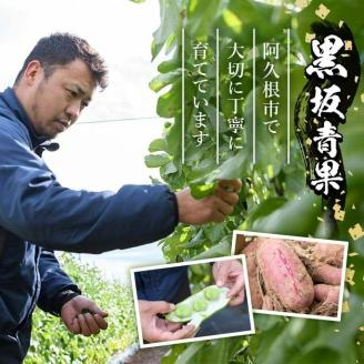 ＜2026年1月以降順次発送予定＞スナップエンドウ(1kg) 旬 国産 豆 マメ まめ 野菜 セット 詰め合わせ 数量限定 サラダ 炒め物【黒坂青果】akn049-01