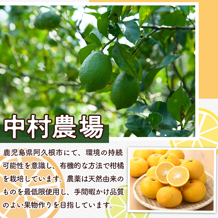 ＜2025年9月以降発送予定＞数量限定！有機JAS オーガニックレモン(計2kg) 国産 レモン 檸檬 果実 果物 フルーツ 柑橘 デザート 期間限定 有機栽培 健康志向【中村農場】akn084-03