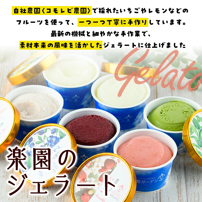 農園ガーデン空 楽園のジェラートセット(90ml×6個) ジェラート アイス いちご いちごミルク レモン ブルーベリー 抹茶 デザート スイーツ おやつ 夏 鹿児島 バラエティ バレンタイン ホワイトデー【農園ガーデン空】akn026-12