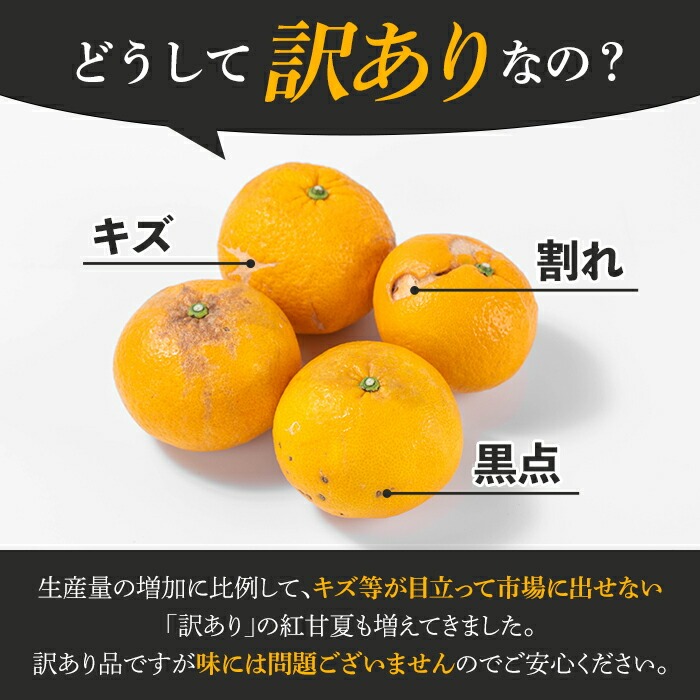 ＜2026年3月上旬以降順次発送予定＞訳あり！鹿児島県産まかない紅甘夏(約20kg) 国産 鹿児島産 柑橘 訳アリ 果物 フルーツ 旬 常温保存 紅甘夏 ベニアマナツ 数量限定 期間限定 規格外 デザート 阿久根市産【三笠農業生産】akn051-05
