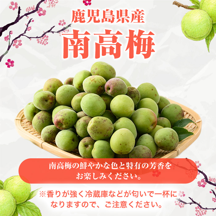 ＜2026年5月下旬以降順次発送予定＞訳あり！鹿児島県産 南高梅(約4kg) 国産 果物 梅 うめ ウメ ナンコウウメ 和食 梅干し 梅酒 梅シロップ 訳アリ サイズ混合 期間限定【松永青果】akn053-09