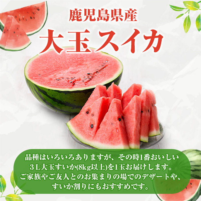 ＜2026年6月中旬以降順次発送予定＞鹿児島県産 大玉スイカ(3Lサイズ・1玉) 国産 果物 スイカ すいか 西瓜 フルーツ スイーツ スムージー ジュース【松永青果】akn053-15