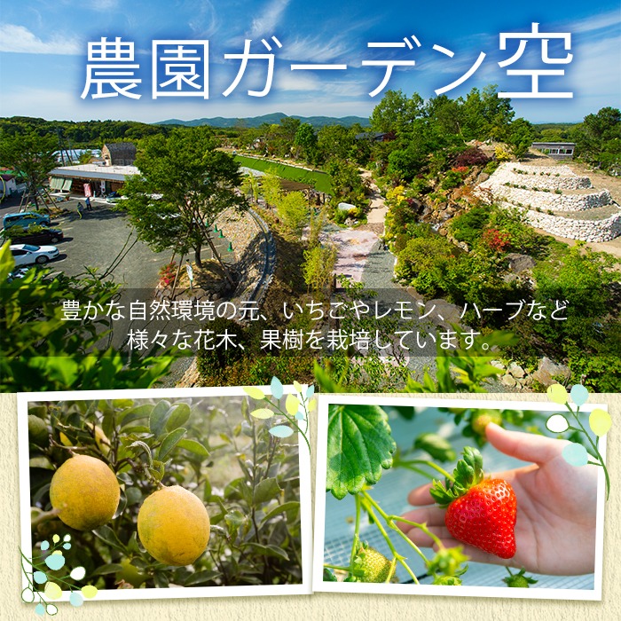 ＜2026年1月以降順次発送予定＞農園ガーデン空産いちご 恋みのりセット(計1.1kg・280g×4P)国産 イチゴ 苺 フルーツ 果物【農園ガーデン空】akn026-02