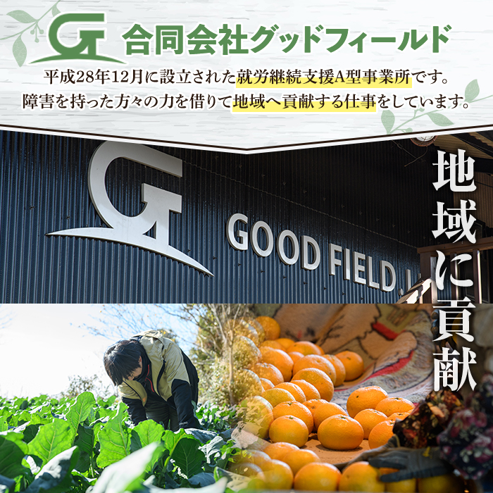 数量限定！冷凍オクラ(計1.5kg・250g/袋) 野菜 冷凍 冷凍野菜 夏野菜 オクラ ホール カット 簡単 手軽 小分け 数量限定 【合同会社グッドフィールド】akn056-11