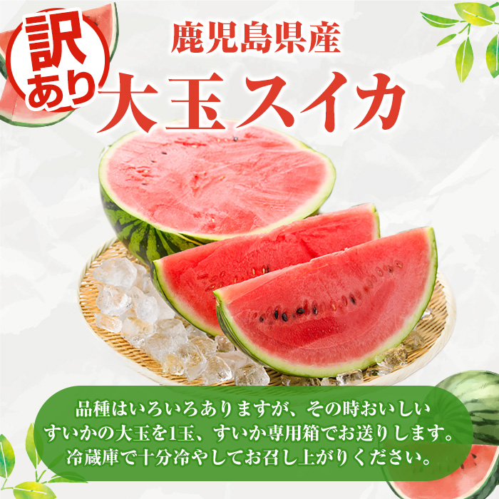 ＜2026年6月中旬以降順次発送予定＞訳あり！鹿児島県産 大玉スイカ(1玉・約10kg) 国産 果物 スイカ すいか 西瓜 フルーツ スイーツ スムージー ジュース【松永青果】akn053-21