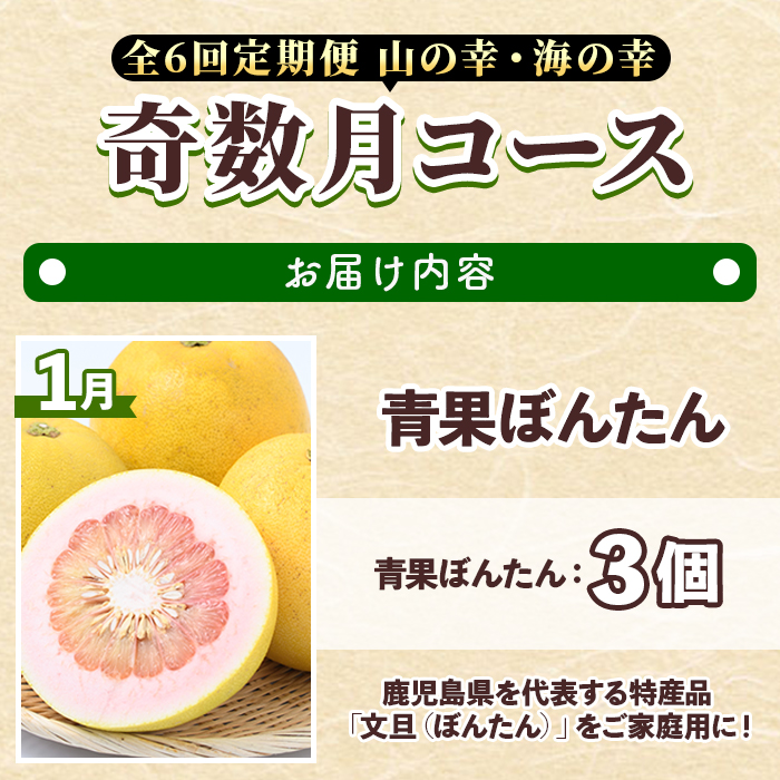 ＜定期便・全6回(奇数月)＞阿久根市の山の幸・海の幸(ぼんたん・不知火・タカエビ・メロン・伊勢海老など)国産 柑橘 みかん フルーツ 果物 魚介 頒布会【松永青果】akn053-37