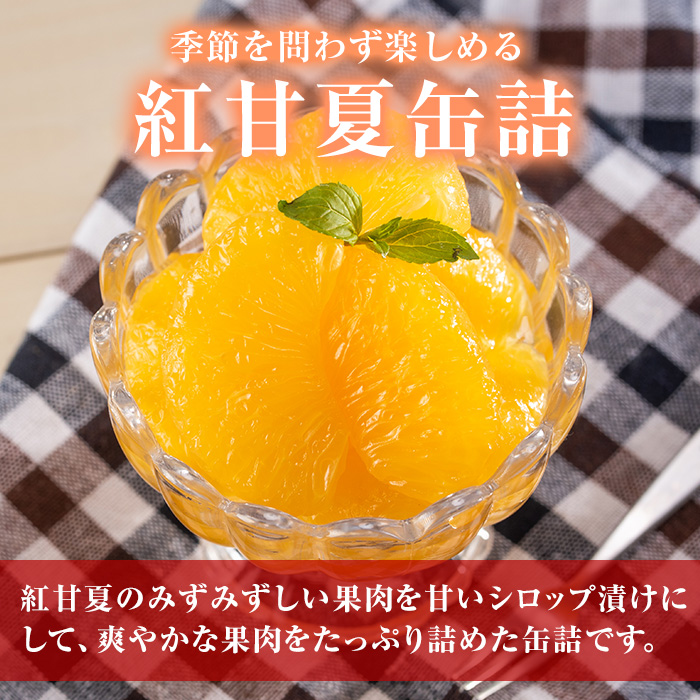 紅甘夏缶詰(295g×6缶)国産 柑橘 果物 フルーツ あまなつ 加工品 缶詰め デザート おやつ【鹿児島いずみ農業協同組合】akn018-09