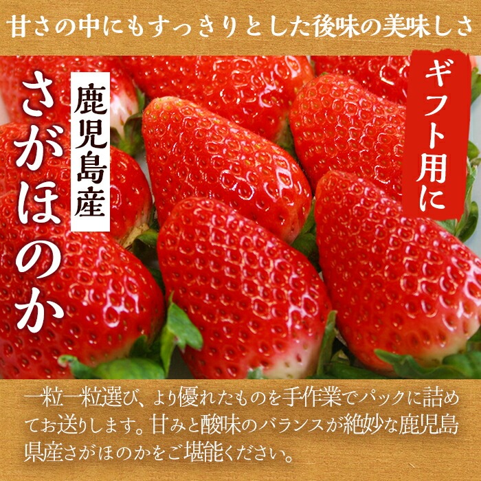 ＜2026年1月中旬以降順次発送予定＞鹿児島県産いちご(さがほのか「秀大」・計約1.4kg・40粒×2箱) 鹿児島 阿久根 果物 フルーツ イチゴ いちご 苺 さがほのか デザート おやつ 期間限定【鹿児島いずみ農業協同組合】akn018-21