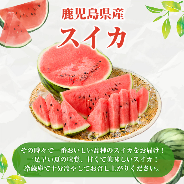 ＜2026年6月中旬以降順次発送予定＞鹿児島県産 スイカ(2玉) 国産 果物 スイカ すいか 西瓜 ジュース スムージー 祭ばやし 縞王 紅まくら 黒小玉スイカ 期間限定【松永青果】akn053-31