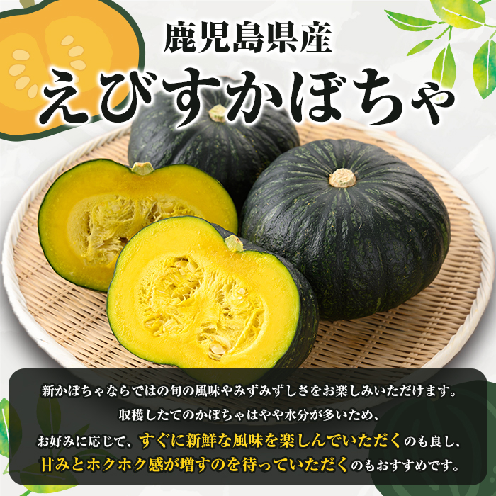 ＜2026年5月上旬以降順次発送予定＞鹿児島県産 えびすかぼちゃ(約10kg) 国産 野菜 かぼちゃ カボチャ 南瓜 煮物 天ぷら バーベキュー BBQ スイーツ お菓子【松永青果】akn053-27