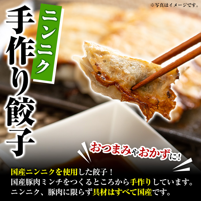 ＜訳あり定期便・全3回＞人気のお惣菜定期便 国産 ササミ 鶏肉 とり肉 おかず 惣菜 真空冷凍 揚げ物 ギョウザ ぎょうざ お肉 から揚げ 鶏料理 冷凍 真空パック【スーパーよしだ】akn058-16
