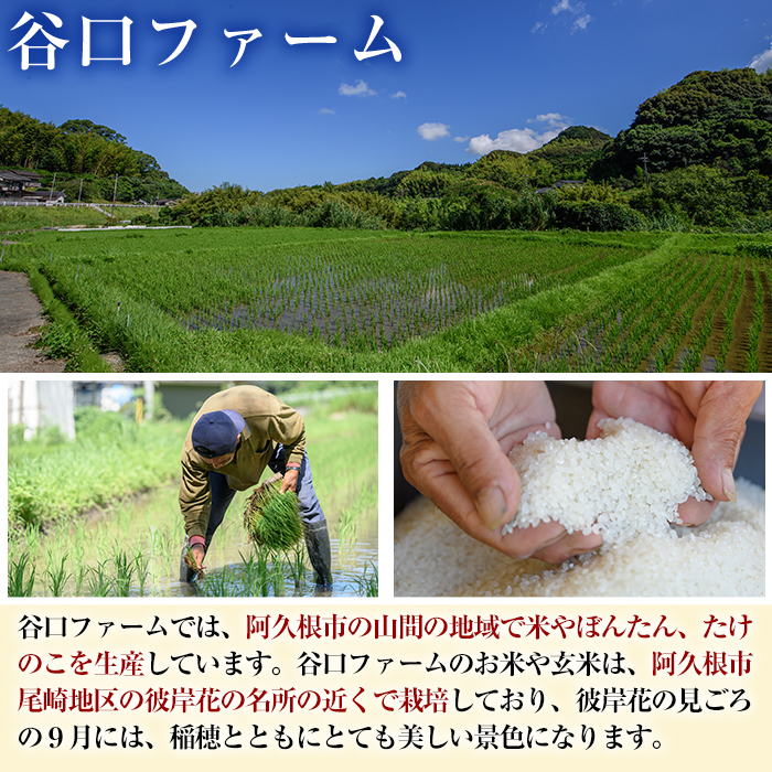 鹿児島県産のお米 ひのひかり(計5kg) 国産 白米 自社精米 ご飯 おこめ おにぎり お弁当 ひのひかり【谷口ファーム】akn064-03