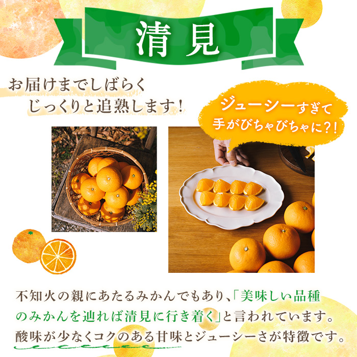 ＜2026年4月上旬以降順次発送予定＞数量限定！鹿児島県産 清見 (20個・2L) 柑橘 フルーツ 果物 国産 みかん 期間限定 きよみ キヨミ ミカン【株式会社イロドリ】akn069-09