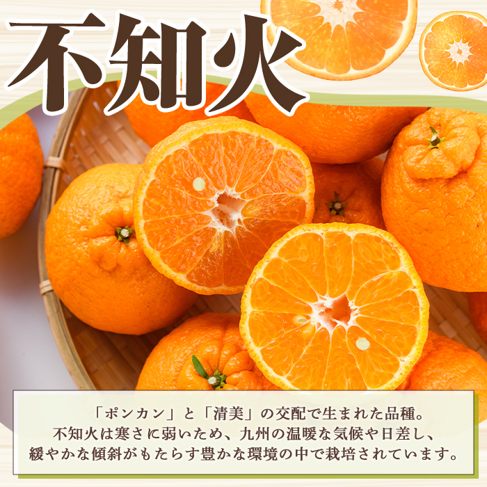 ＜2026年3月上旬以降順次発送予定＞訳あり！露地栽培の不知火(4kg) 国産 不知火 しらぬい 柑橘 果物 フルーツ デザート 露地 果実 期間限定 数量限定 【古田果樹園】akn093-03