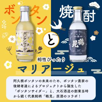 「ボンタンサイダー×鶴見」本酎ハイセット(鶴見・ボンタンサイダー・各200ml 計4本)国産 詰め合わせ 芋 鹿児島県産 酒 焼酎 芋焼酎 アルコール 炭酸【大石酒造】akn038-04
