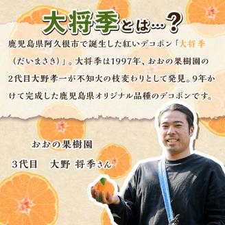 ＜2026年2月中旬以降順次発送予定＞数量限定！おおの果樹園の「大将季」(計3kg) 果物 フルーツ 果実 柑橘 ハウス栽培 無加温 みかん【おおの果樹園】akn087-03