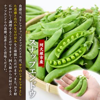 ＜2026年1月以降順次発送予定＞スナップエンドウ(1kg) 旬 国産 豆 マメ まめ 野菜 セット 詰め合わせ 数量限定 サラダ 炒め物【黒坂青果】akn049-01