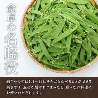 ＜2026年1月以降順次発送予定＞ご家庭用！訳あり！「絹さや」(1kg) 旬 国産 豆 マメ 絹さや 絹サヤ きぬさや 野菜 セット 詰め合わせ 訳アリ 数量限定 期間限定【黒坂青果】akn049-04