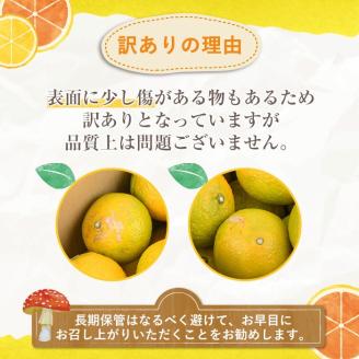 ＜2025年12月中旬以降順次発送予定＞訳ありスイートスプリング(約10kg) 鹿児島県 阿久根市 フルーツ 果物 デザート 柑橘 甘味 果肉 果汁【松永青果】akn053-11