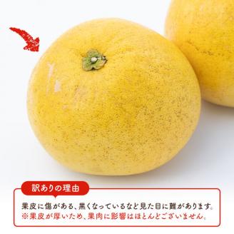 ＜2025年12月中旬以降順次発送予定＞訳あり！鹿児島県阿久根市産ボンタン(計8kg)国産 ぼんたん 文旦 柑橘 果物 フルーツ【松永青果】akn053-02