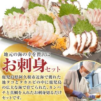 鹿児島県産！お刺身切るだけセット(3人～4人前)国産 刺し身盛 魚貝 魚介 海産物 刺身 蛸 たこ 海老 エビ かんぱち タイ 簡単調理 おつまみ セット 小分け 個包装【さるがく水産】akn028-05